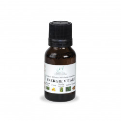 copy of Synergie Energie...