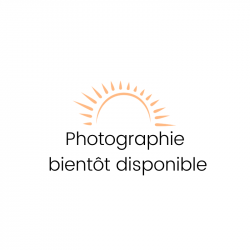 copy of Recharge Air Pur...