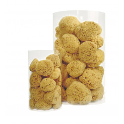 copy of Eponge naturelle 8 cm