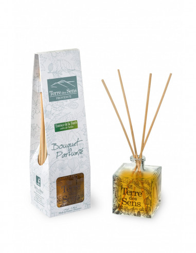 Diffuseur Bâtonnet Parfum Ambiance