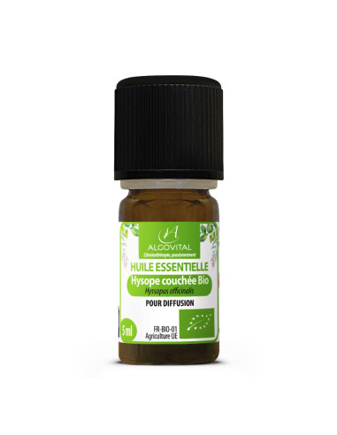 Hysope Couchée Bio Huile Essentielle