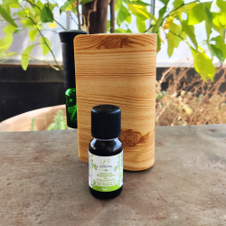 Diffuseur nomade et...