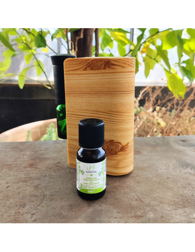 Diffuseur nomade et synergie Nuit...