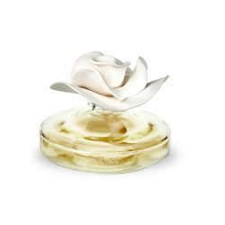 copy of Diffuseur Rosa