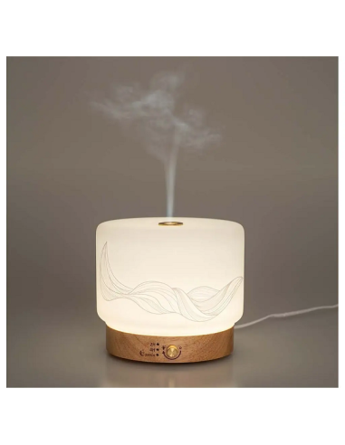 LISALIA Diffuseur Ultrasonique...