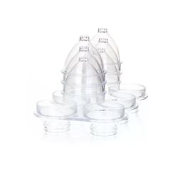 copy of Moule Suppositoire... 2