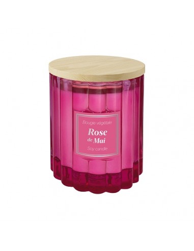 Bougie Végétale Rose de Mai - 100 g