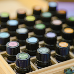 copy of Mandalas olfactifs...