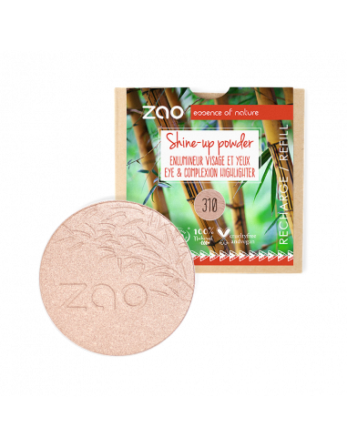 Recharge Shine-up Powder 310 -...