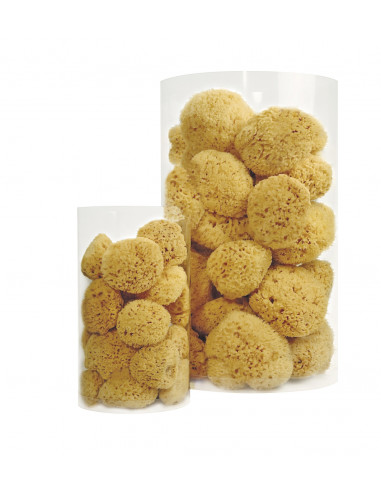 Eponge naturelle 8 cm