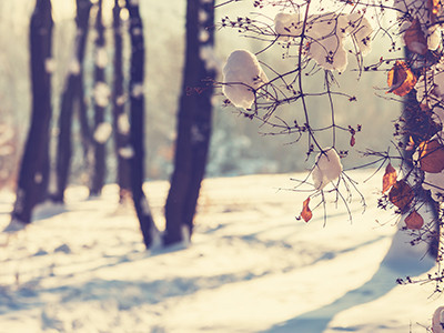 L'essentiel pour l'automne/hiver