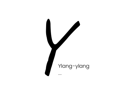 Y1