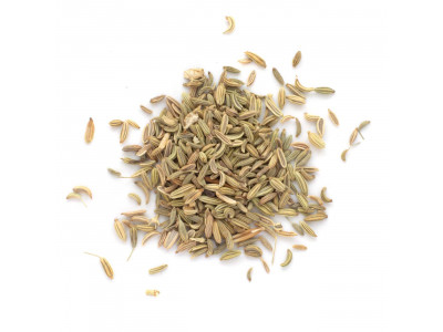 Fenouil