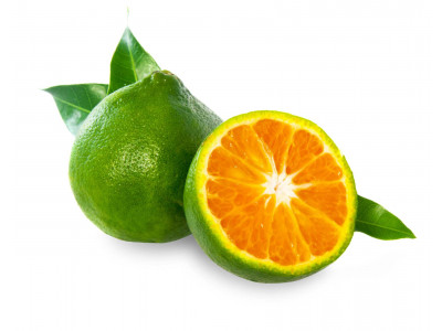 Mandarine Verte
