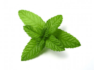 Menthe Poivrée