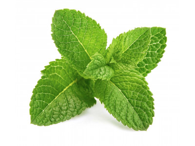 Menthe Verte