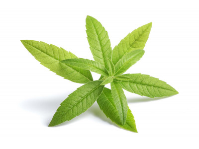 Verveine Yunnan  Exotique