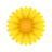 icons8-blossom-48.png